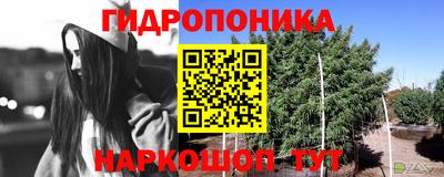 ешки Севастополь