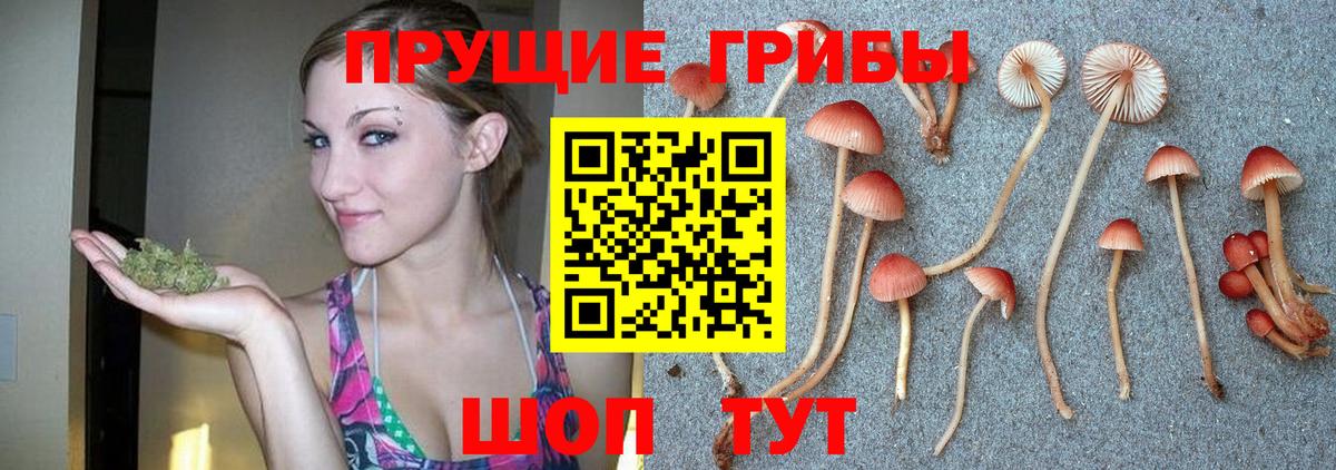 Галлюциногенные грибы прущие грибы Бирск